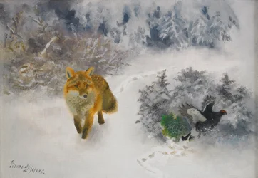 Fuchs und Auerhahn im Winterlandschaft